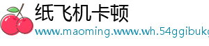 纸飞机卡顿